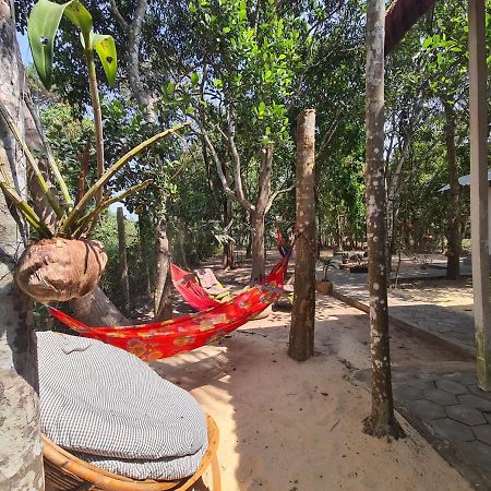 La Maison Des Bambous Siem Reap Exterior foto