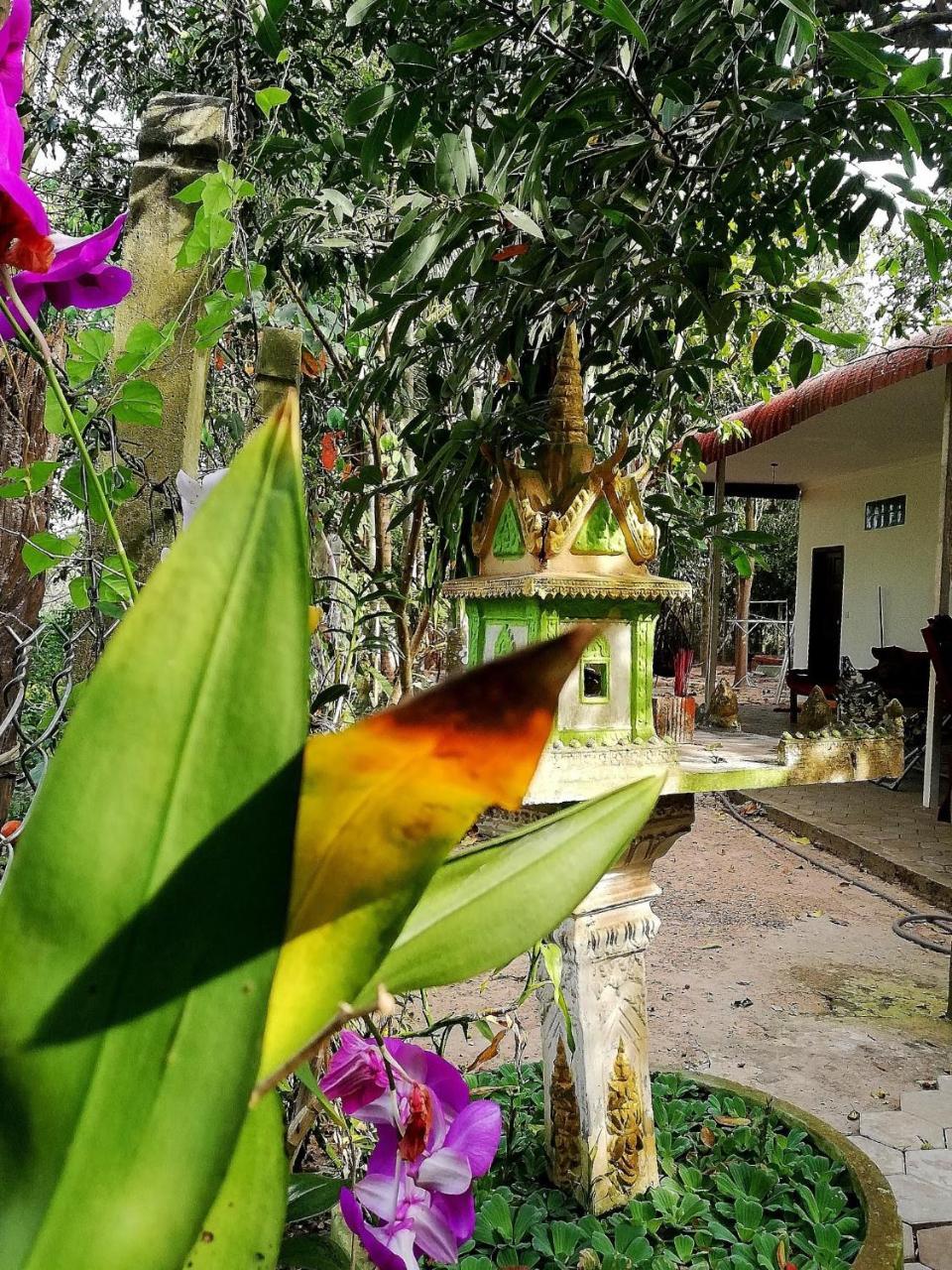 La Maison Des Bambous Siem Reap Exterior foto
